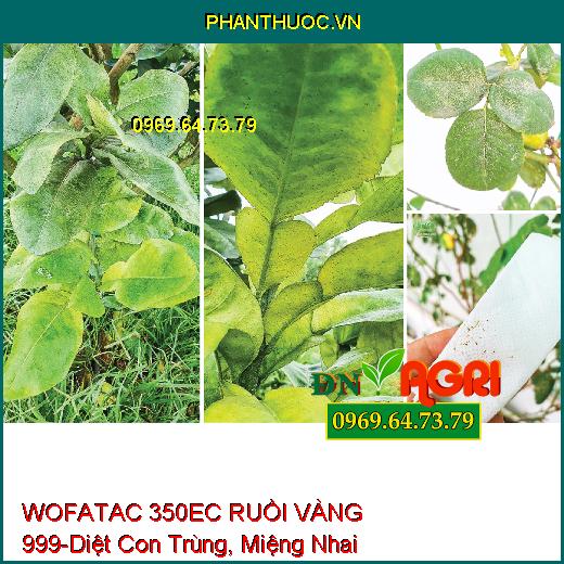 WOFATAC 350EC RUỒI VÀNG 999-Diệt Con Trùng, Miệng Nhai