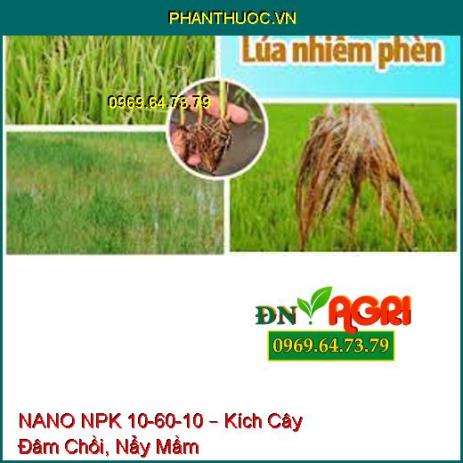 NANO NPK 10-60-10 – Kích Cây Đâm Chồi, Nẩy Mầm