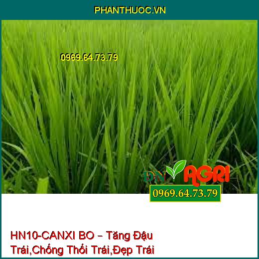 HN10-CANXI BO – Tăng Đậu Trái,Chống Thối Trái,Đẹp Trái