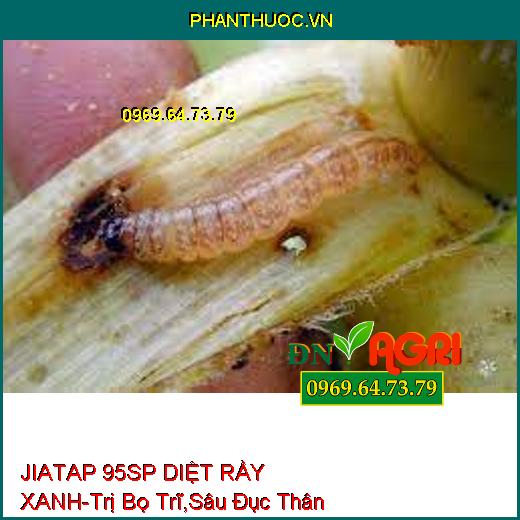 JIATAP 95SP DIỆT RẦY XANH-Trị Bọ Trĩ,Sâu Đục Thân