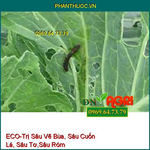 ECO-Trị Sâu Vẽ Bùa, Sâu Cuốn Lá, Sâu Tơ,Sâu Róm