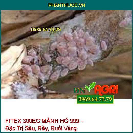 FITEX 300EC MÃNH HỔ 999 – Đặc Trị Sâu, Rầy, Ruồi Vàng