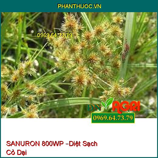 SANURON 800WP –Diệt Sạch Cỏ Dại