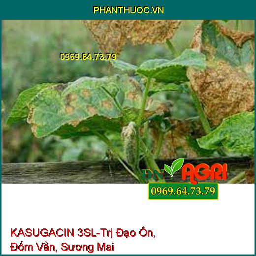 KASUGACIN 3SL-Trị Đạo Ôn, Đốm Vằn, Sương Mai