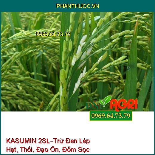 KASUMIN 2SL–Trừ Đen Lép Hạt, Thối, Đạo Ôn, Đốm Sọc