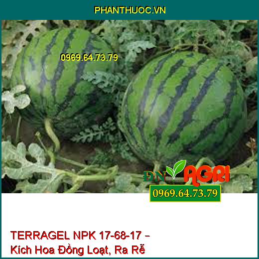 TERRAGEL NPK 17-68-17 – Kích Hoa Đồng Loạt, Ra Rễ