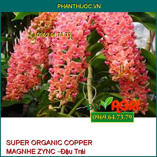 SUPER ORGANIC COPPER MAGNHE ZYNC –Đậu Trái