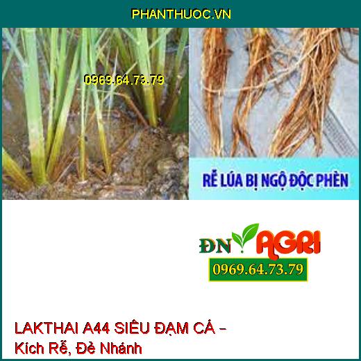 LAKTHAI A44 SIÊU ĐẠM CÁ – Kích Rễ, Đẻ Nhánh