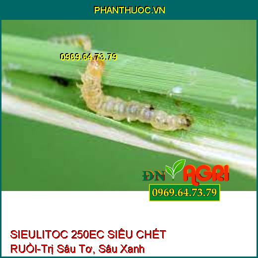 SIEULITOC 250EC SIÊU CHẾT RUỒI-Trị Sâu Tơ, Sâu Xanh