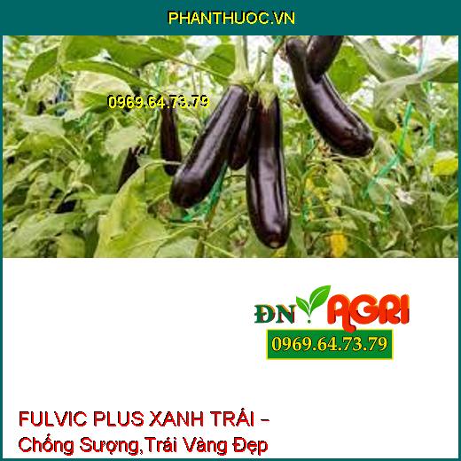 FULVIC PLUS XANH TRÁI – Chống Sượng,Trái Vàng Đẹp