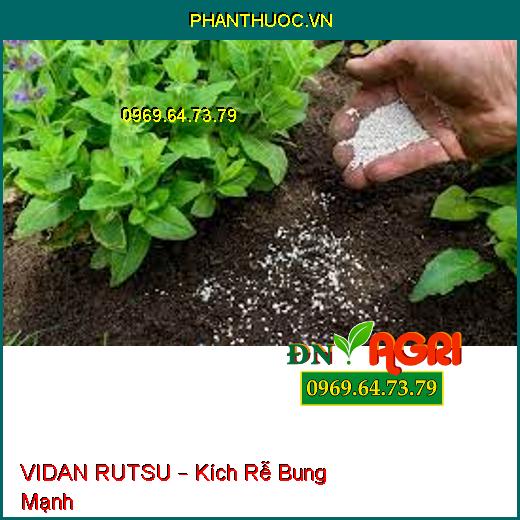 VIDAN RUTSU – Kích Rễ Bung Mạnh