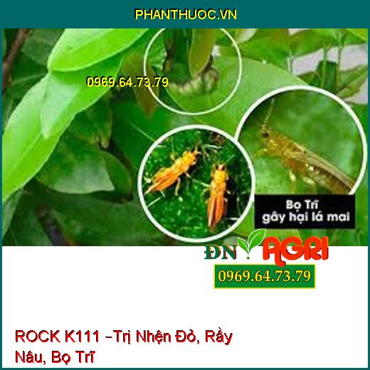 ROCK K111 –Trị Nhện Đỏ, Rầy Nâu, Bọ Trĩ