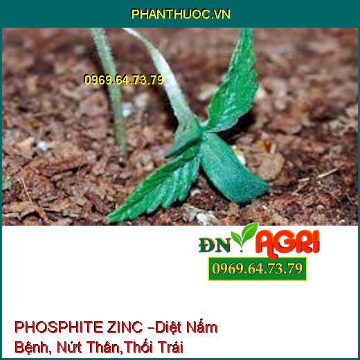 PHOSPHITE ZINC –Diệt Nấm Bệnh, Nứt Thân,Thối Trái