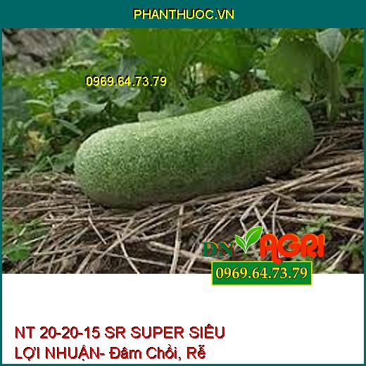 NT 20-20-15 SR SUPER SIÊU LỢI NHUẬN- Đâm Chồi, Rễ