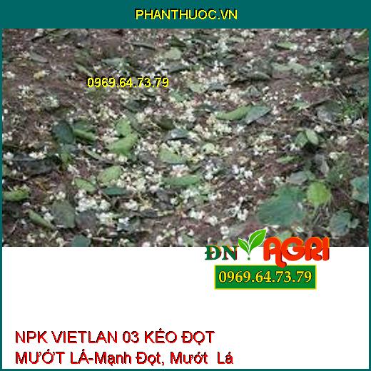 NPK VIETLAN 03 KÉO ĐỌT MƯỚT LÁ-Mạnh Đọt, Mướt Lá