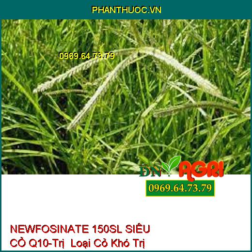 NEWFOSINATE 150SL SIÊU CỎ Q10-Trị Loại Cỏ Khó Trị