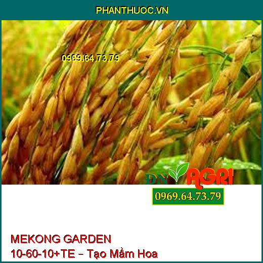 MEKONG GARDEN 10-60-10+TE – Tạo Mầm Hoa