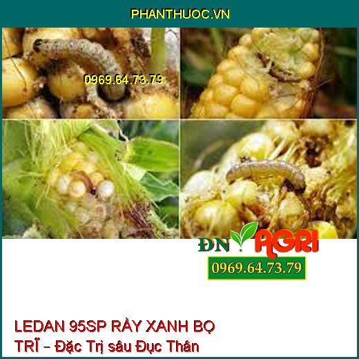 LEDAN 95SP RẦY XANH BỌ TRĨ – Đặc Trị sâu Đục Thân