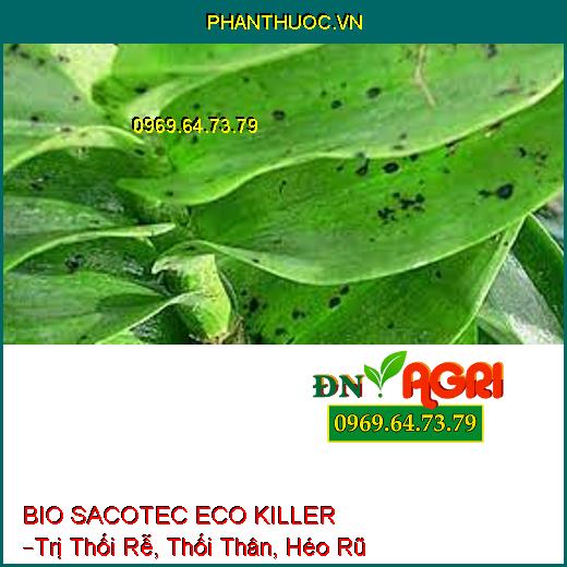 BIO SACOTEC ECO KILLER –Trị Thối Rễ, Thối Thân, Héo Rũ