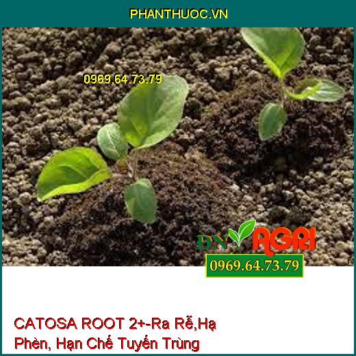 CATOSA ROOT 2+-Ra Rễ,Hạ Phèn, Hạn Chế Tuyến Trùng