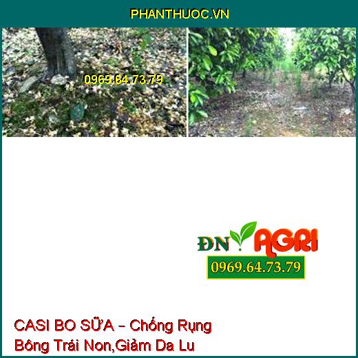 CASI BO SỮA – Chống Rụng Bông Trái Non,Giảm Da Lu