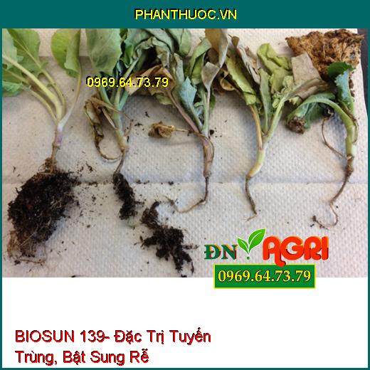 BIOSUN 139- Đặc Trị Tuyến Trùng, Bật Sung Rễ