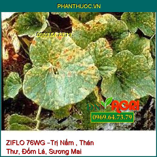 ZIFLO 76WG –Trị Nấm , Thán Thư, Đốm Lá, Sương Mai