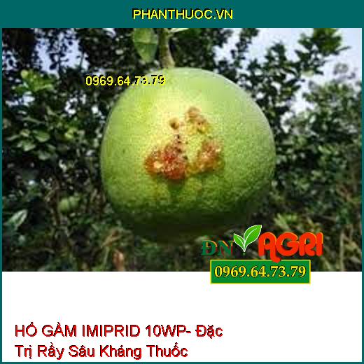 HỔ GẦM IMIPRID 10WP- Đặc Trị Rầy Sâu Kháng Thuốc