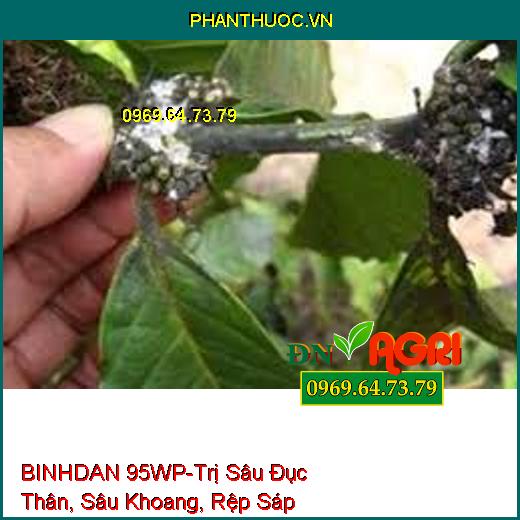 BINHDAN 95WP-Trị Sâu Đục Thân, Sâu Khoang, Rệp Sáp