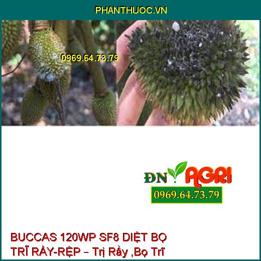 BUCCAS 120WP SF8 DIỆT BỌ TRĨ RẦY-RỆP – Trị Rầy ,Bọ Trĩ