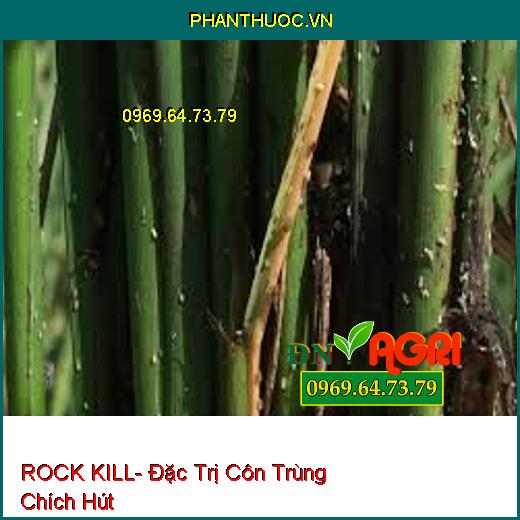 ROCK KILL- Đặc Trị Côn Trùng Chích Hút