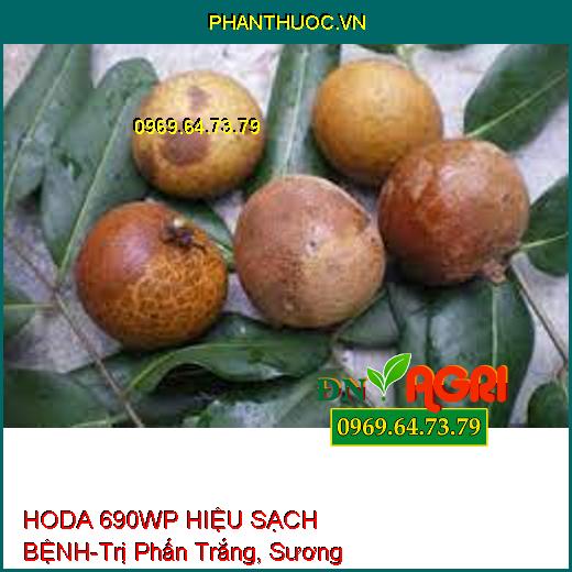 HODA 690WP HIỆU SẠCH BỆNH-Trị Phấn Trắng, Sương Mai