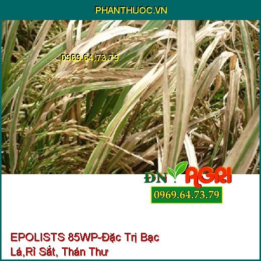 EPOLISTS 85WP-Đặc Trị Bạc Lá,Rỉ Sắt, Thán Thư