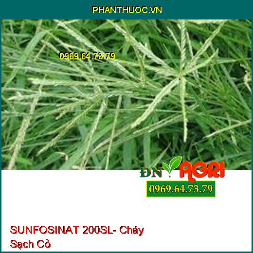 SUNFOSINAT 200SL- Cháy Sạch Cỏ