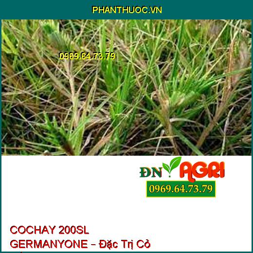 COCHAY 200SL GERMANYONE – Đặc Trị Cỏ Gấu, Cỏ Chỉ