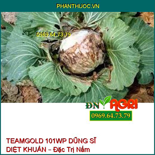 TEAMGOLD 101WP DŨNG SĨ DIỆT KHUẨN – Đặc Trị Nấm