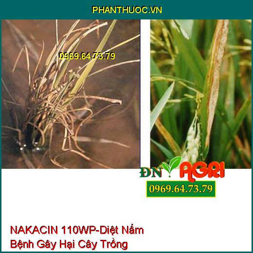 NAKACIN 110WP-Diệt Nấm Bệnh Gây Hại Cây Trồng