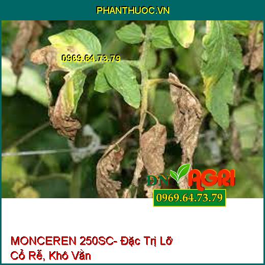 MONCEREN 250SC- Đặc Trị Lỡ Cổ Rễ, Khô Vằn