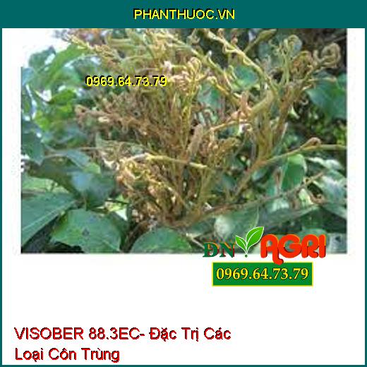 VISOBER 88.3EC- Đặc Trị Các Loại Côn Trùng