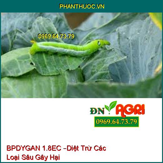 BPDYGAN 1.8EC –Diệt Trừ Các Loại Sâu Gây Hại