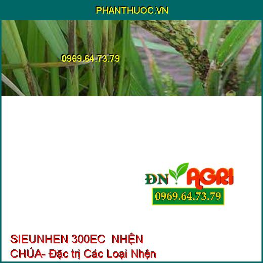 SIEUNHEN 300EC  NHỆN CHÚA- Đặc trị Các Loại Nhện