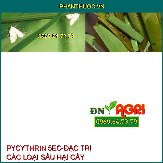 PYCYTHRIN 5EC-ĐẶC TRỊ CÁC LOẠI SÂU HẠI CÂY TRỒNG