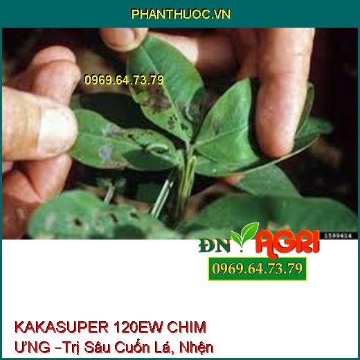 KAKASUPER 120EW CHIM ƯNG –Trị Sâu Cuốn Lá, Nhện Đỏ