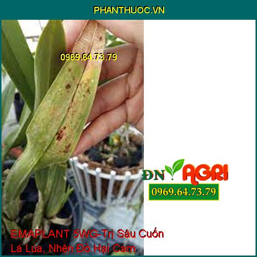 EMAPLANT 5WG-Trị Sâu Cuốn Lá Lúa, Nhện Đỏ Hại Cam