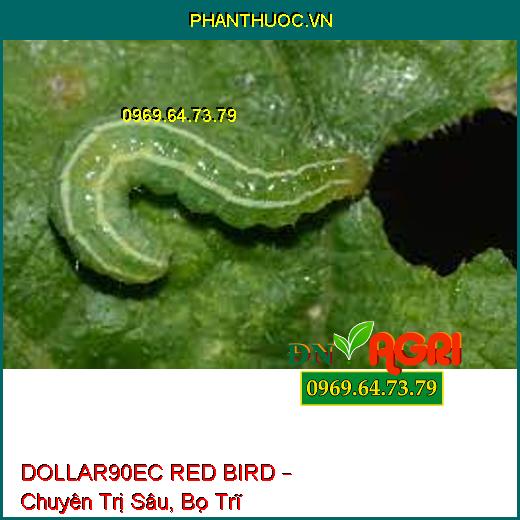 DOLLAR90EC RED BIRD – Chuyên Trị Sâu, Bọ Trĩ