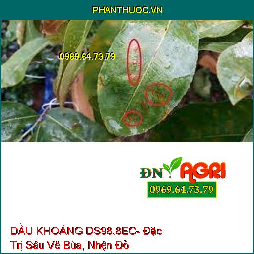 DẦU KHOÁNG DS98.8EC- Đặc Trị Sâu Vẽ Bùa, Nhện Đỏ