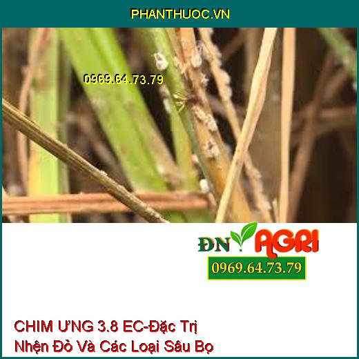 CHIM ƯNG 3.8 EC-Đặc Trị Nhện Đỏ Và Các Loại Sâu Bọ