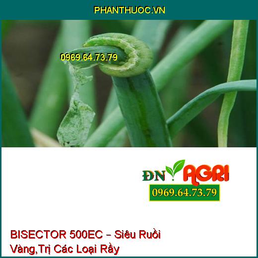 BISECTOR 500EC – Siêu Ruồi Vàng,Trị Các Loại Rầy