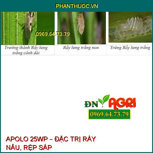 APOLO 25WP – ĐẶC TRỊ RẦY NÂU, RỆP SÁP