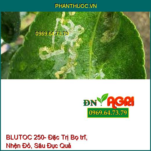 BLUTOC 250- Đặc Trị Bọ trĩ, Nhện Đỏ, Sâu Đục Quả